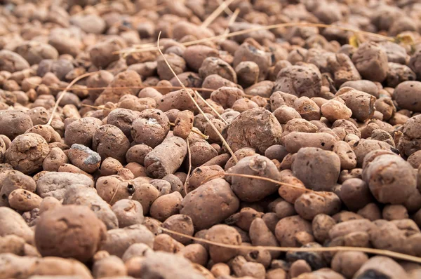 Expanded clay aggregate — Stock Image Expanded clay aggregate Stock Image