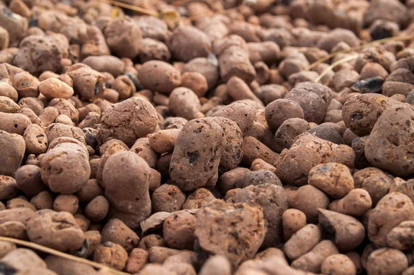 Expanded clay aggregate — Stock Image Expanded clay aggregate Royalty Free Stock Photos