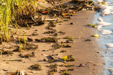 Nehrin üzerinde sörf