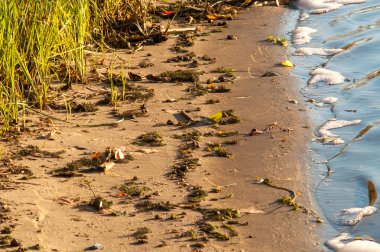 Nehrin üzerinde sörf