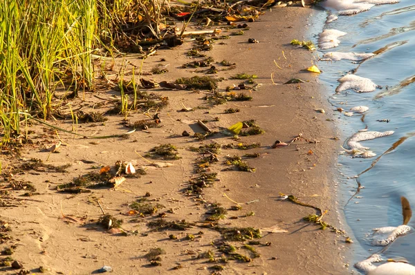 Nehrin üzerinde sörf