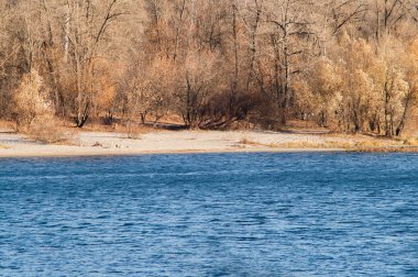 suya yakın sonbahar orman