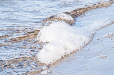 kumlu bir plaj üzerinde dalgaları ile sörf
