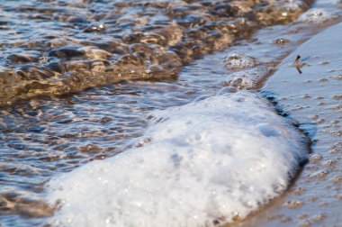kumlu bir plaj üzerinde dalgaları ile sörf