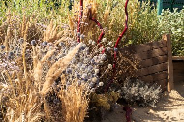 Ahşap tekne tasarım çözümleri için bahçe dekorasyon