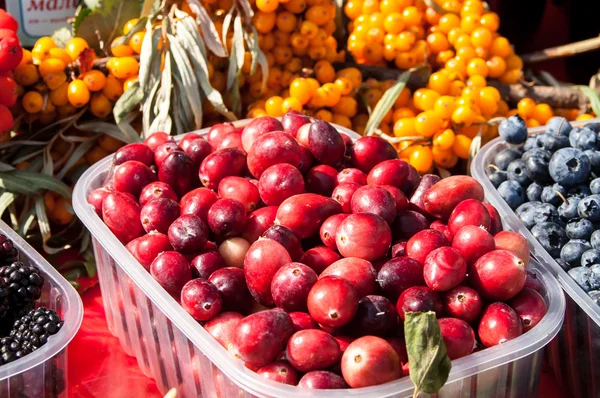 bir tablo blackberry, cehri, kızılcık taze çilek