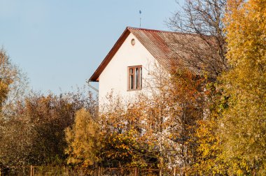 ağaçların arasında ev 