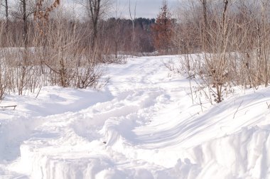 yol, iz kış orman