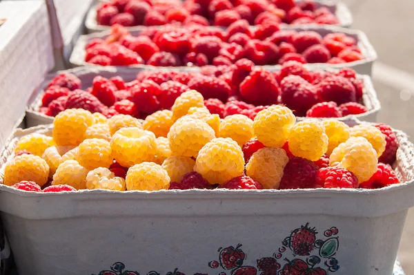 bir kağıt kutu içinde kırmızı ve sarı ahududu