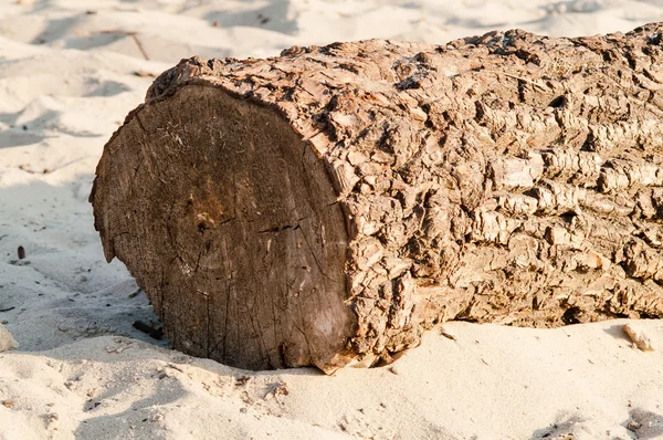 Dużego dziennika leżące na piasku — Zdjęcie stockowe