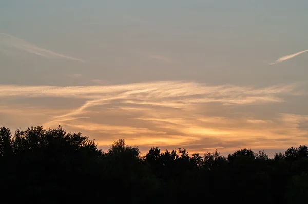 Bosque negro en una hermosa puesta de sol roja con nubes — Foto de Stock