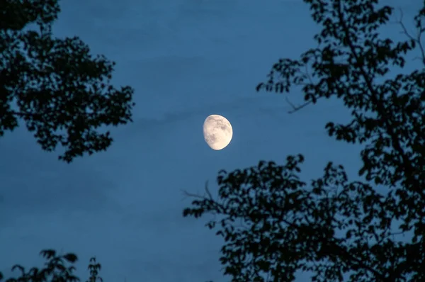 Månen i skyn — Stockfoto