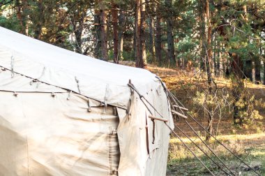 Yeşil çadır, kamp, Kamping, ormanda