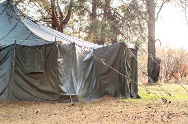 Yeşil çadır, kamp, Kamping, ormanda