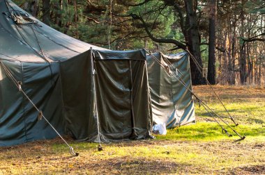 Yeşil çadır, kamp, Kamping, ormanda