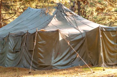 Yeşil çadır, kamp, Kamping, ormanda