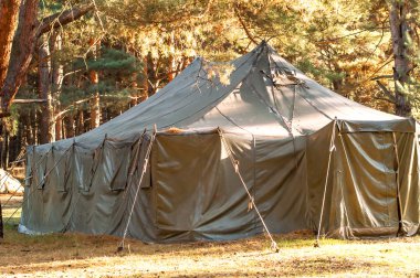 Yeşil çadır, kamp, Kamping, ormanda