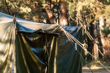 Yeşil çadır, kamp, Kamping, ormanda