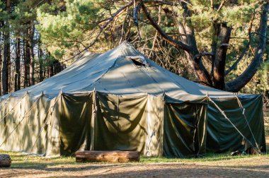 Yeşil çadır, kamp, Kamping, ormanda