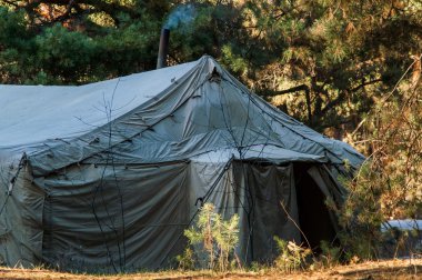 Yeşil çadır, kamp, Kamping, ormanda