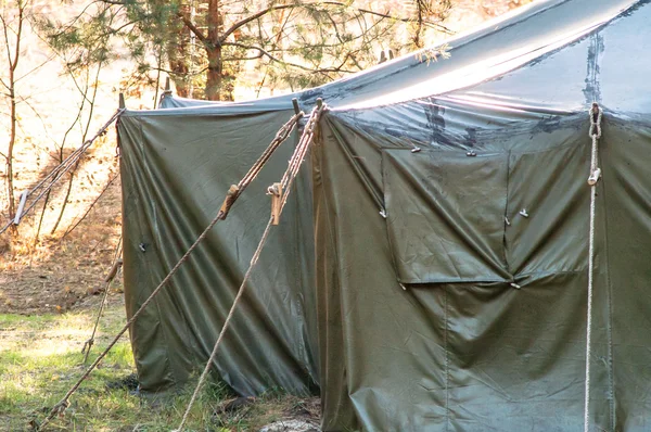Tente verte, camping, camping, bois — Photo