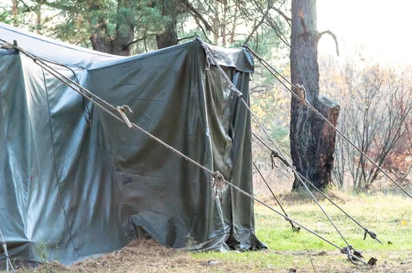 Yeşil çadır, kamp, Kamping, ormanda