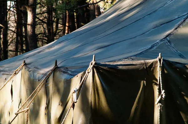 Tenda verde, campeggio, campeggio, bosco — Foto Stock