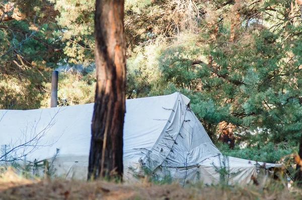 Tenda verde, camping, camping, floresta — Fotografia de Stock