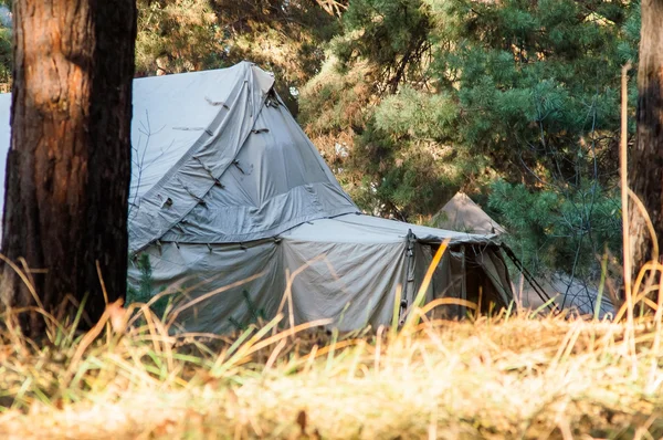 キャンプ、キャンプ、森緑のテント — ストック写真