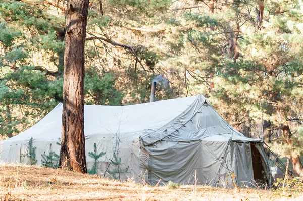 Tenda verde, camping, camping, floresta — Fotografia de Stock