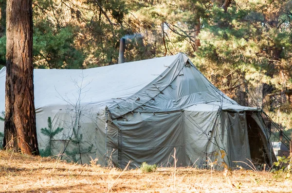 キャンプ、キャンプ、森緑のテント — ストック写真