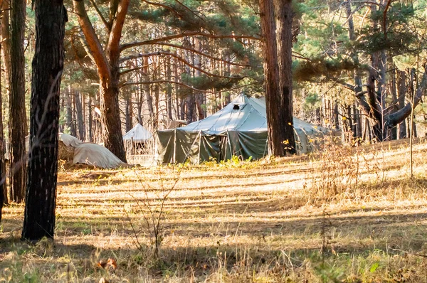 Tenda verde, camping, camping, floresta — Fotografia de Stock