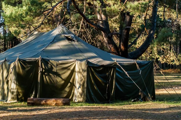 Tenda verde, camping, camping, floresta Imagens De Bancos De Imagens Sem Royalties