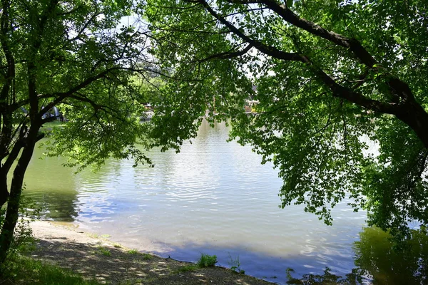 Belo Dia Ensolarado Lago — Fotografia de Stock