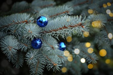 Noel arkaplanı. Mavi taşaklı ve altın renkli Noel ağacı. Seçici odak