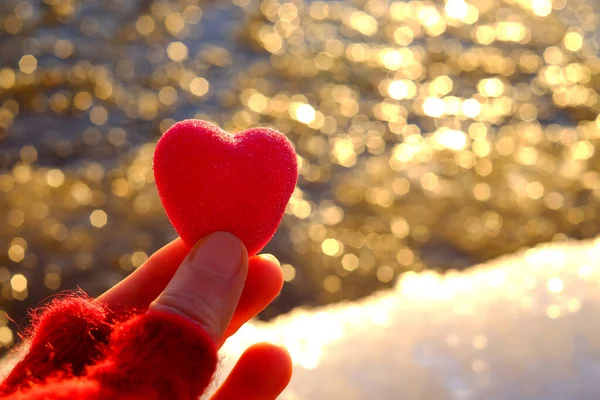 Hand houden van een rood hart met natuurlijke winter bokeh achtergrond. Kopieerruimte, selectieve focus Rechtenvrije Stockfoto's