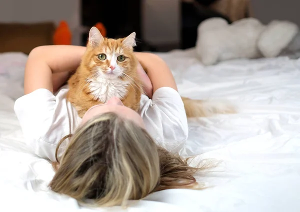 Kat Liggend Meisje Bed Binnen Achtergrond Liefde Tussen Kinderen Huisdieren Stockfoto