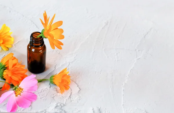 Brown glass bottle with calendula flower on white textured background. Copy space. Natural cosmetic concept — Stock Photo, Image