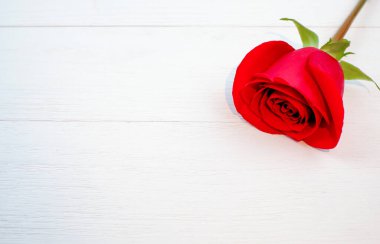 Ahşap arka planda bir kırmızı gül, üst manzara, kopyalama alanı