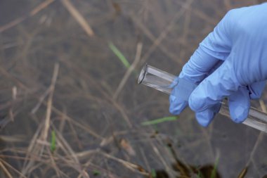 Eldiven takıp test tüpünde su topluyor. Gölden su örneği, ekoloji konsepti.