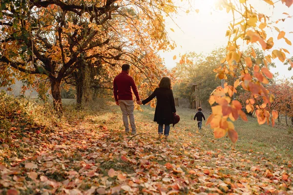 Silhouette family portrait, mother, father and son, walking in a park taking hands during sunset light. Autumn landscape with fallen leaves. Sharing moments, togetherness concept.