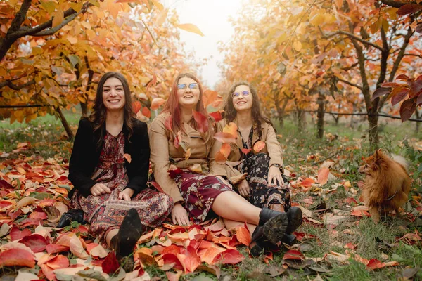 Three girls smiling portrait sitting on the ground in a field during fall season. Togetherness, Autumn season, friendship, red and orange color concept.