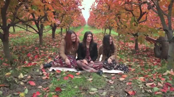 Tre Ragazze Sorridenti Medio Livello Paesaggio Rurale Parlando Tra Loro — Video Stock