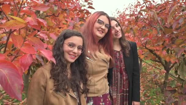 Trzy Uśmiechnięte Dziewczyny Średniej Klasy Wiejskim Krajobrazie Rozmawiają Chodzą Siebie — Wideo stockowe