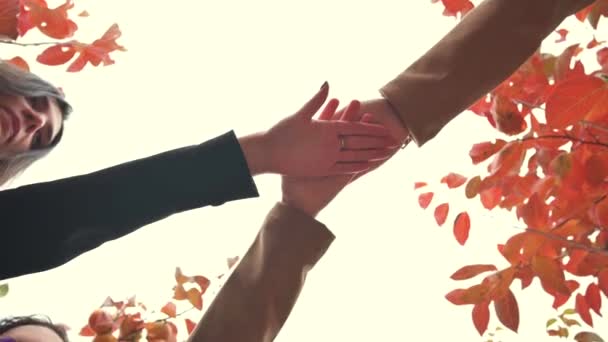 Unten Bild Drei Freunde Die Hand Anlegen Zusammenhalt Einheit Freundschaftskonzept — Stockvideo