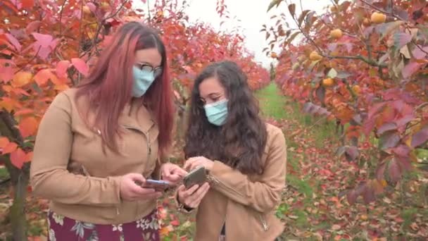 Due Ragazze Campo Durante Stagione Autunnale Con Canneti Foglie Usando — Video Stock