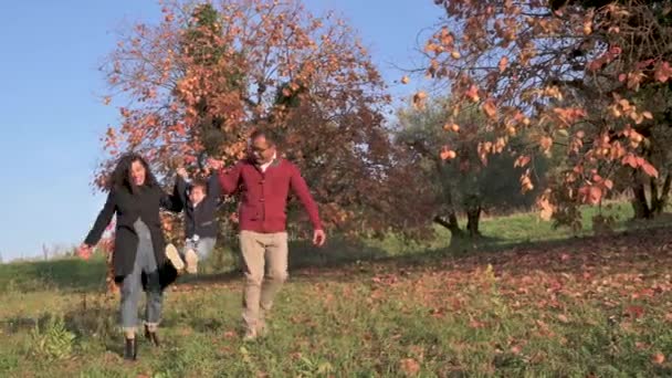 Parent Child Park Autumn Season Kid Running Happiness Carefree Togetherness — Video Stock