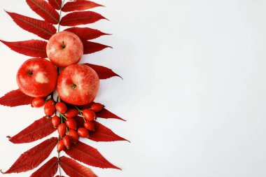 Yapraklar, elmalar ve gül kalçalarındaki yazılar için boşluklu sonbahar kompozisyonu, üst görünüm yatay yerleşimi. Şükran Günü