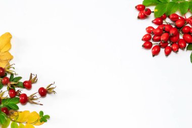 Beyaz arka planda yeşil ve sarı yapraklı olgun taze gül çilekleri, Tex için alan