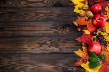 Sonbahar parlak sarı-kırmızı yapraklar, fındıklar, ahşap bir arka planda elmalar. Tahtadan yapılmış doğal bir masa. Metin için boşluk olan üst görünüm